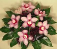 /album/galeria/viragposta-orchidea-csokor-2-extralarge-jpg/